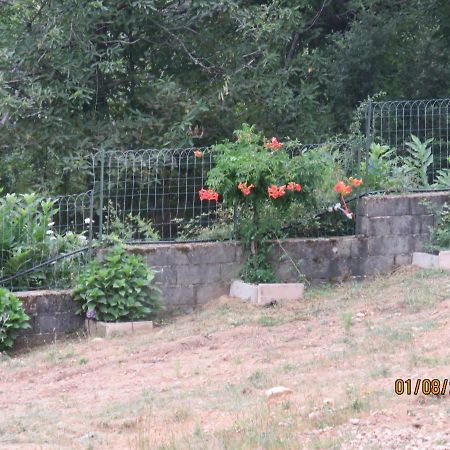 L'Altore Di Savaghju Vivario  Exterior foto